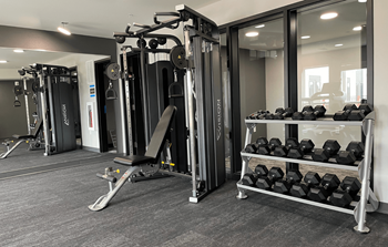 Fitness room free weights